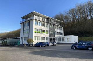 Penthouse mieten in Hauptstraße, 53426 Schalkenbach, Freundliche 2-Zimmer-Penthouse-Wohnung mit Balkon und Abstellraum. In Schalkenbach