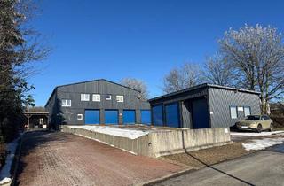 Gewerbeimmobilie kaufen in 56462 Höhn, Hier ist viel für SIE drin! Gewerbehalle, 6 Garagen, 3 Wohneinheiten, ausreichend Stellplätze....