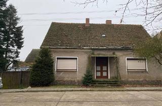 Einfamilienhaus kaufen in 16259 Bad Freienwalde, Bad Freienwalde (Oder) - Einfamilienhaus mit Scheune und großen Garten im Oderbruch