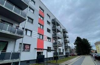 Wohnung mieten in Postweg 15, 04849 Bad Düben, WE 3.2 - ab JULI 2026 - Klein, individuell, 1.5 Raum Wohnung - Für Alt und auch Jung