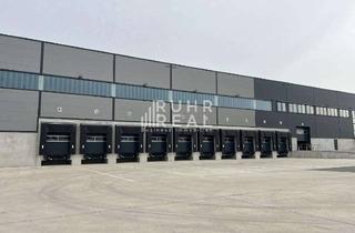 Gewerbeimmobilie mieten in 52445 Titz, KURZFRISTIG VERFÜGBAR: 10.000 m² Logistikfläche | Rampen | RUHR REAL