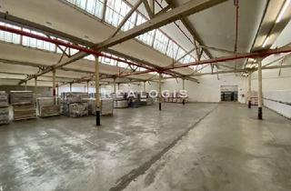 Gewerbeimmobilie mieten in 48565 Steinfurt, Steinfurt, ca. 8.248 m² teilbare Hallenfläche, teilw. mit WGK I-II