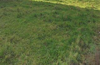 Grundstück zu kaufen in 53498 Bad Breisig, Großes sonnenverwöhntes Bauland zzgl. Grünland mit Privatsphäre