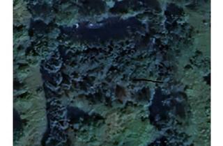 Haus kaufen in Am Bahndamm, 99706 Sondershausen, Wohn-/ Gewerbegebäude mit Lagerhalle und Wege/ Stellplatzflächen