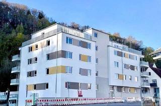 Wohnung kaufen in 66849 Landstuhl, Landstuhl-Neubau/Erstbezug - energieeffiziente Eigentumswohnungen mit großen Balkonen und Tiefgarage