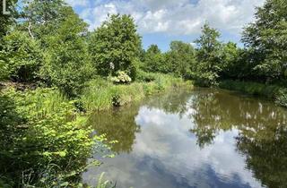 Haus kaufen in 25878 Drage, Wohnen im schönen Nordfriesland-exklusives Anwesen- provisionsfrei für den Käufer