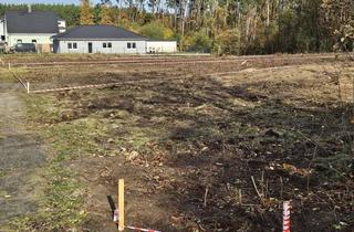 Grundstück zu kaufen in 15518 Rauen, Fürstenwalde OT Rauen- nachgefragte, naturnahe, familienfreundliche Grundstückslage