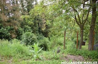 Grundstück zu kaufen in 56856 Zell, Wunderschön gelegenes Freizeitgrundstück mit Blick auf das Moseltal