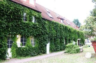 Wohnung kaufen in 04838 Jesewitz, 5 leere sanierungsbedürftige Wohnungen einer WEG