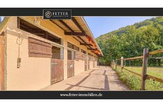 Haus kaufen in 55767 Niederhambach, Reitanlage in Rheinland-Pfalz zu verkaufen – Pferdeimmobilie mit kleiner Reithalle und Wohnhaus!