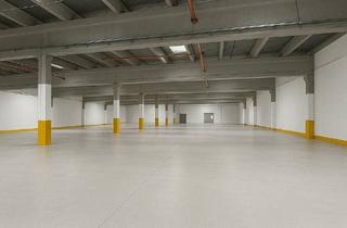 Büro zu mieten in 97228 Rottendorf, Zu vermieten 2.000 m² - 7.500 m² Hallenfläche mit/ohne Büro. Verfügbar ab 01.01.2026