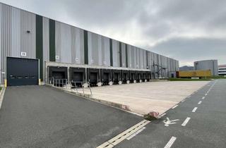 Gewerbeimmobilie mieten in 27419 Sittensen, Lager- & Distributionshalle | Neubaufläche kurzfristig verfügbar | individuell teilbar