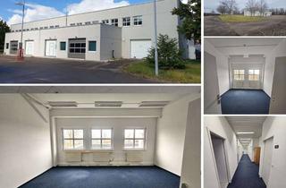 Büro zu mieten in 06188 Landsberg, Bürofläche mit 9 Räumen, Teeküche, 3 WCs, SP mgl.