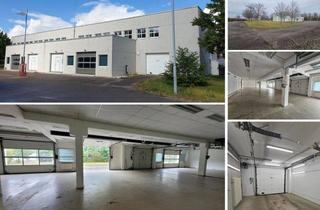 Geschäftslokal mieten in 06188 Landsberg, Werkstattfläche/ Warmlagerhalle auf eingezäuntem GS, 6 Rolltore, Grün- & Freilagerfläche + SP mgl.
