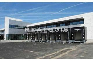 Gewerbeimmobilie mieten in 34593 Knüllwald, Knüllwald, direkt an der A7 ca. 20.650 m² Neubauhallenfläche zu vermieten