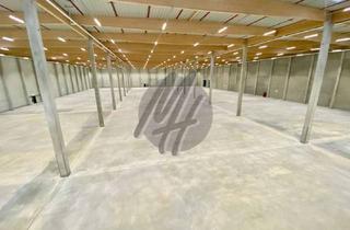 Gewerbeimmobilie mieten in 16321 Bernau bei Berlin, KEINE PROVISION ✓ NEUBAU ✓ ERSTBEZUG ✓ Lager-/Logistikflächen (15.000 m²) zu vermieten