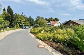 Grundstück zu kaufen in 01814 Bad Schandau, Bauplatz auf der Ostrauer Scheibe - Bad Schandau