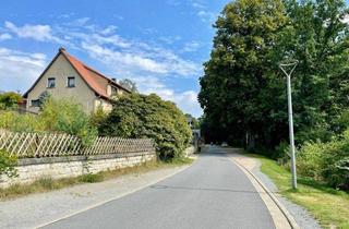 Grundstück zu kaufen in 01814 Bad Schandau, Naturnaher Bauplatz auf der Ostrauer Scheibe - Bad Schandau