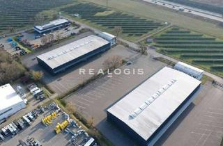 Büro zu mieten in 15366 Neuenhagen, Neuenhagen bei Berlin, ca. 4.136 m² Halle zzgl. ca. 890 m² Büro, ca. 14.000 m² Freifläche