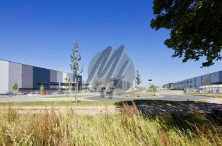 Gewerbeimmobilie mieten in 16321 Bernau, KEINE PROVISION ✓ NEUBAU ✓ ERSTBEZUG ✓ Lager-/Logistikflächen (70.000 m²) zu vermieten