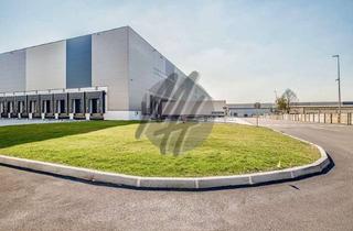 Gewerbeimmobilie mieten in 16321 Bernau bei Berlin, KEINE PROVISION ✓ NEUBAU ✓ ERSTBEZUG ✓ Lager-/Logistikflächen (50.000 m²) zu vermieten