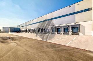 Gewerbeimmobilie mieten in 16321 Bernau, KEINE PROVISION ✓ NEUBAU ✓ ERSTBEZUG ✓ Lager-/Logistikflächen (40.000 m²) zu vermieten