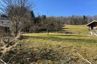 Grundstück zu kaufen in 83075 Bad Feilnbach, Attraktives und idyllisches Baugrundstück in ruhiger und erhobener Lage von Bad Feinbach