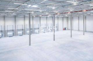 Büro zu mieten in 52445 Titz, 20.715 m² Logistikhalle mit Bürofläche | teilbar | Neubau Q4 2023 | RUHR REAL