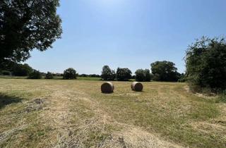 Grundstück zu kaufen in 23715 Bosau, Sehr großes Grundstück mit viel Potential in Hassendorf - Gemeinde Bosau