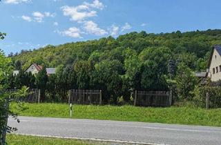 Grundstück zu kaufen in Giesensteiner Str., 01816 Bad Gottleuba, Grundstück (Nr. 1) für Ihr Eigenheim - Nähe Sächsischen Schweiz-Osterzgebirge *Bauträgerfrei*