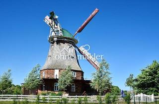 Haus kaufen in 18233 Neubukow, Wohnen in einer sanierten Holländerwindmühle an der Ostsee