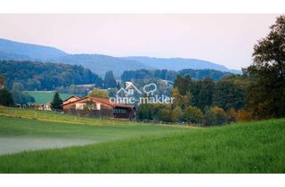 Lager kaufen in Bärnöd, 94541 Grattersdorf, Wunderschöner kleiner Pferdehof in ruhiger, entspannter Lage