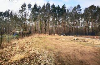 Grundstück zu kaufen in 01468 Moritzburg, Romantischer Bauplatz bei Moritzburg