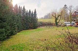Grundstück zu kaufen in 64625 Bensheim, einzigartige Waldrandlage