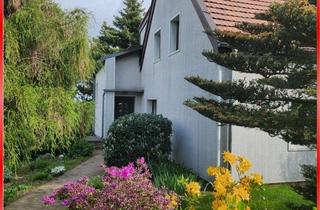 Doppelhaushälfte kaufen in 01662 Meißen, Meißen: Naturnah und idyllisch – Kleine Doppelhaushälfte mit viel Platz im Grünen!