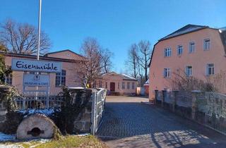 Gewerbeimmobilie kaufen in Eisenmühle G41, 04523 Elstertrebnitz, Eisenmühle Elstertrebnitz - Europas wahrscheinlich letztes technisches und Kulturdenkmal mit Wasserkraft