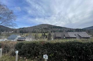 Wohnung kaufen in Gernsbacherstraße 88, 76332 Bad Herrenalb, Gut vermietete 2-Zimmer-Wohnung mit Terrasse - Ideale Investition!