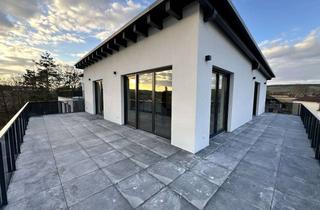 Penthouse mieten in Kerzenheimer Straße, 67280 Ebertsheim, PENTHOUSEWOHNUNG, mit ca. 60 m2 Terrasse und sehr schönen Aussicht, Erstbezug 3Zimmer in Ebertsheim