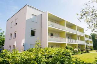 Wohnung mieten in Lindenstraße 10, 93426 Roding, Seniorenwohnen PLUS | 3-Zimmer-Wohnung mit Balkon im 1. OG | Roding