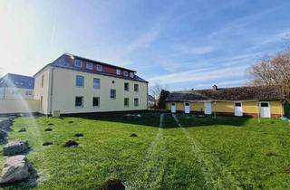 Wohnung mieten in 18510 Wittenhagen, Wunderschöne, helle 3-Raum-Wohnung mit Gartennutzung in Wittenhagen