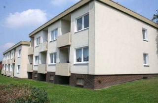 Wohnung mieten in Taubenweg 12, 31683 Obernkirchen, Freundliche 2-Zimmer-Wohnung in Obernkirchen