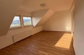 Wohnung mieten in 97907 Hasloch, Großzügige Maisonette-Wohnung mit 4,5 Zimmern, Balkon, Gartenanteil und Garage in ruhiger Wohnlage