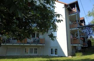 Wohnung mieten in 01328 Gönnsdorf, ++Ruhige dörfliche Lage in Dresden-Pappritz++Souterrain-Wohnung mit viel Platz für Individualisten++