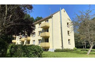 Wohnung mieten in Franzburger Strasse, 18510 Wittenhagen, Sofort verfügbar!!!! Wunderschöne 2-Raum-Wohnung mit Balkon im Grünen