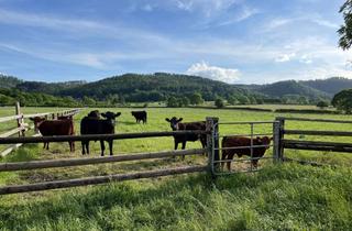 Wohnung mieten in Am Schlosspark 18, 38667 Bad Harzburg, Ruhe und Natur!