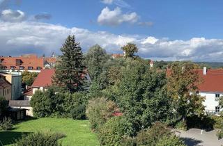 Wohnung mieten in 88499 Riedlingen, Große Dachgeschosswohnung mit Loggia mit Blick auf Riedlinger Innenstadt