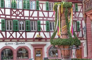 Wohnung mieten in Hauptstr. 123, 69469 Weinheim, Stilvolle möblierte 3-Raum-Dachgeschosswohnung mit Loggia im Herzen Weinheims