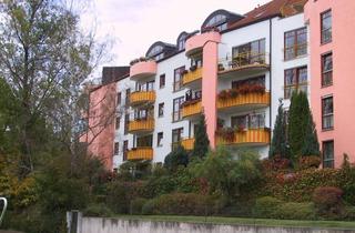 Wohnung mieten in Terrassenstr. 16, 04720 Döbeln, Helle 2-Zi.-Wohng. mit Balkon in 1-A-Lage Terrassengut Döbeln