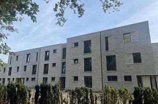 Wohnung mieten in Friedhofweg 10, 33758 Schloß Holte-Stukenbrock, Erstbezug: Attraktive 4-Zimmer-Maisonette-Wohnung mit Terrasse in Schloß Holte-Stukenbrock