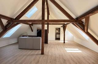 Lofts mieten in Königstraße 43, 76829 Landau, ERSTBEZUG: Dachstudio im Loft-Stil mit Luxus-Einbauküche im Zentrum